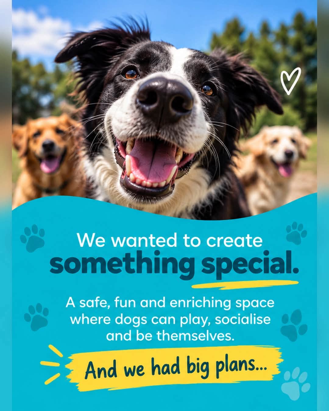 A happy dog enjoying the outdoors, from Wag Zone’s launch collection